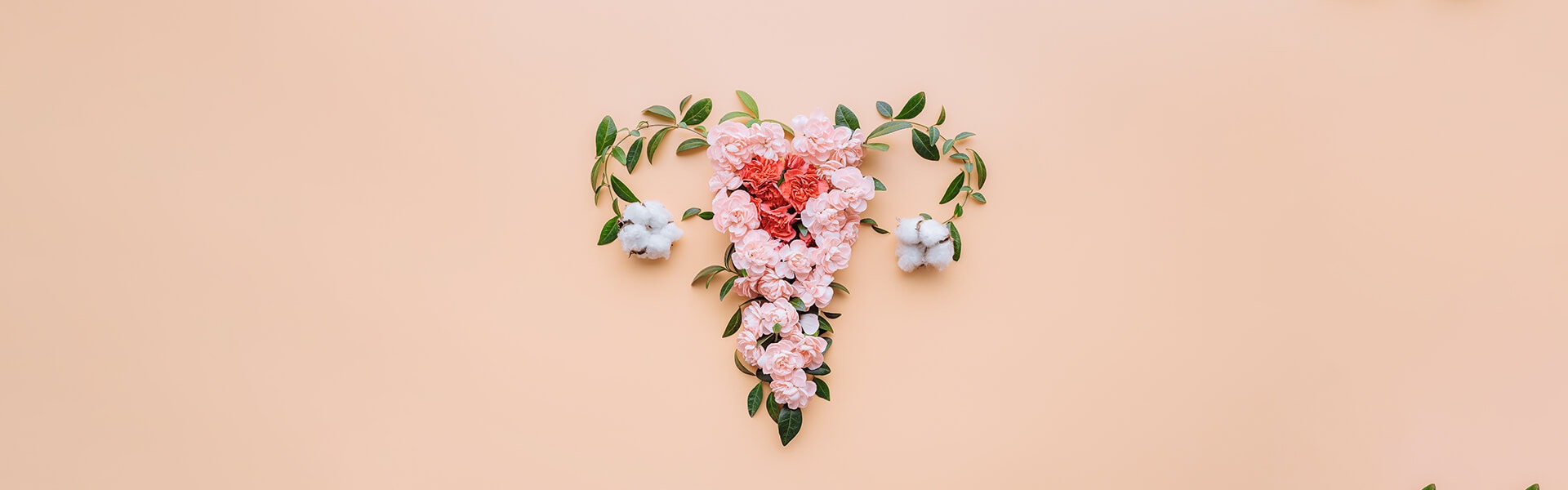 Best Supplements for Endometriosis: Improve Your Health Naturally